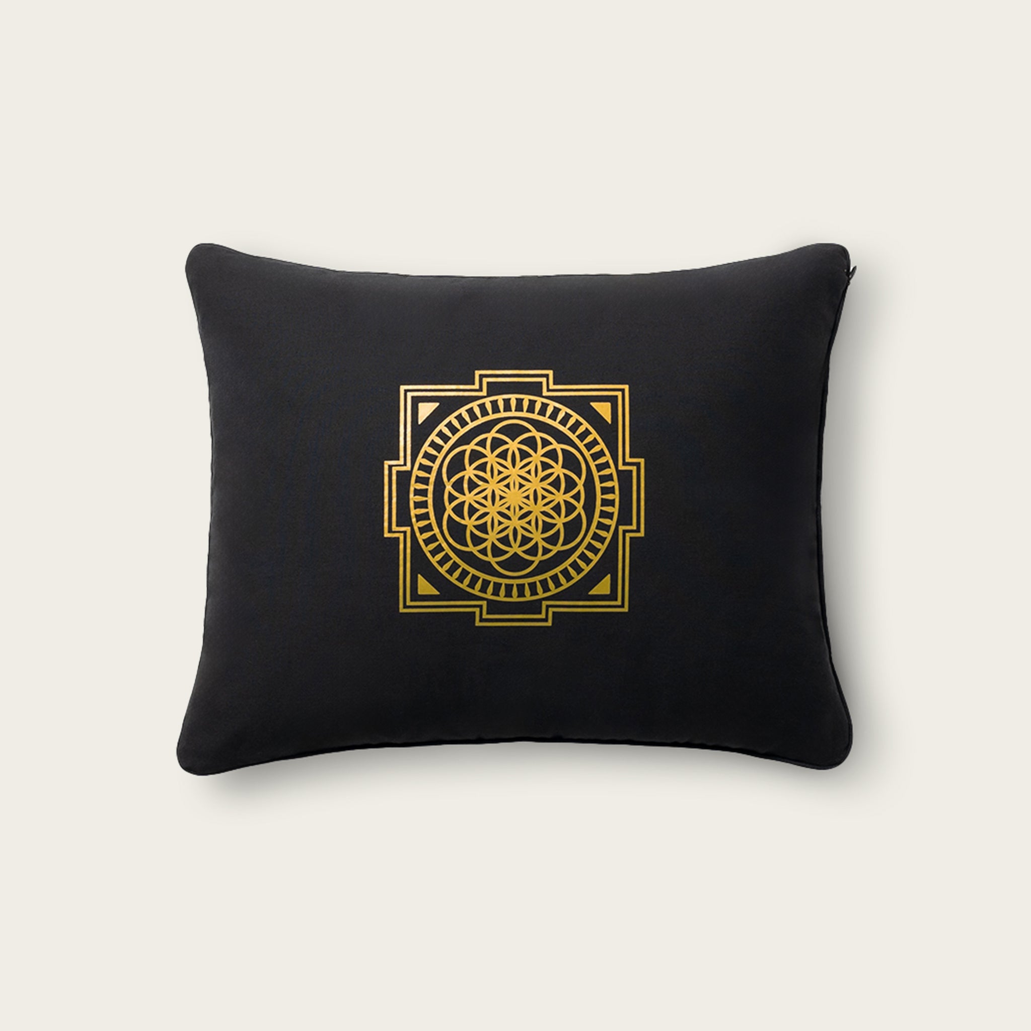 Level 2+Shakti Black